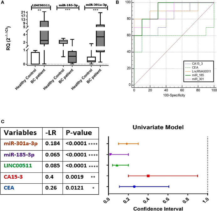 Figure 1