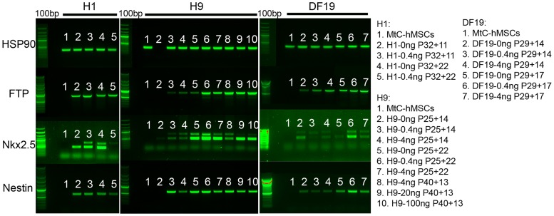 Figure 15