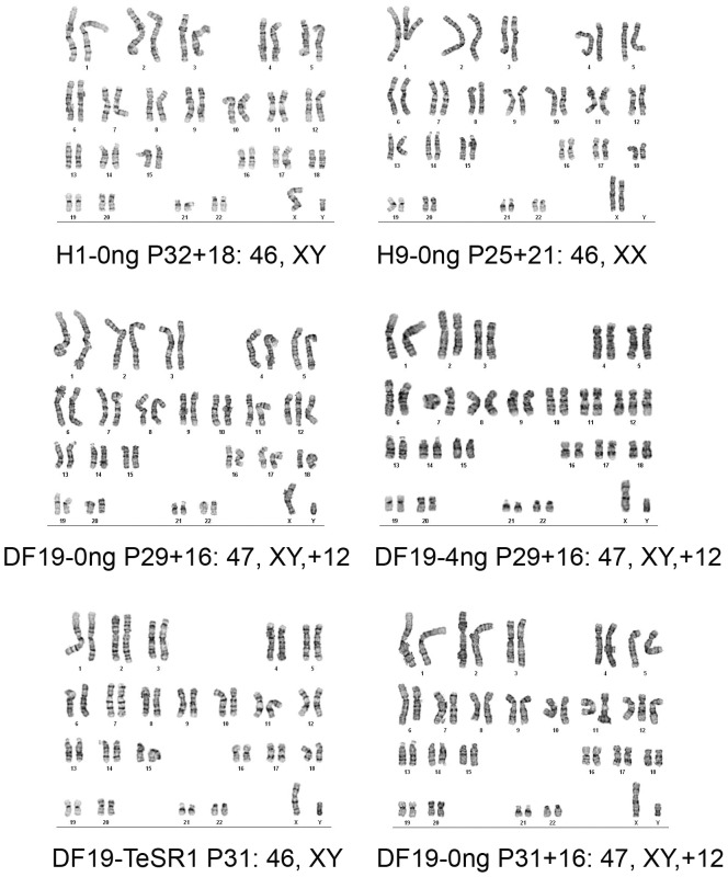 Figure 17