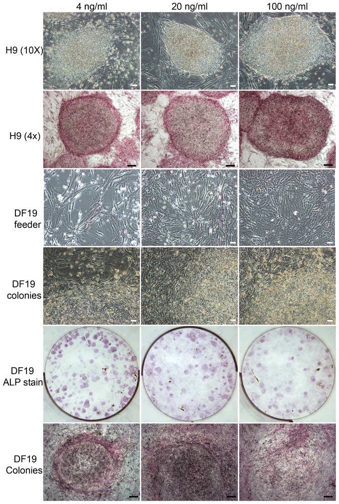 Figure 10