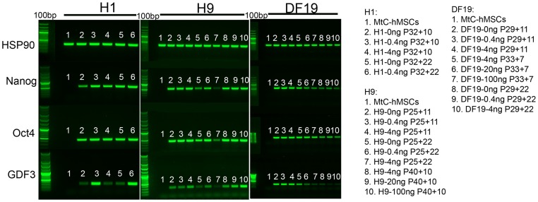 Figure 14