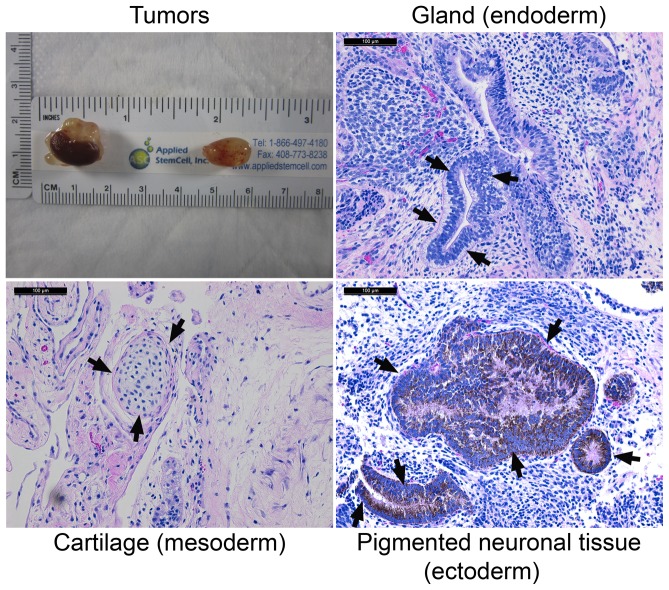 Figure 16