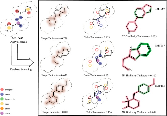 FIGURE 1.