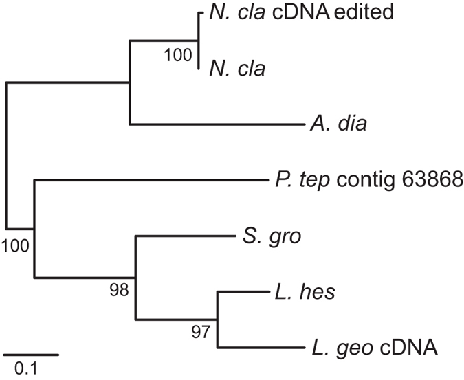 Figure 7