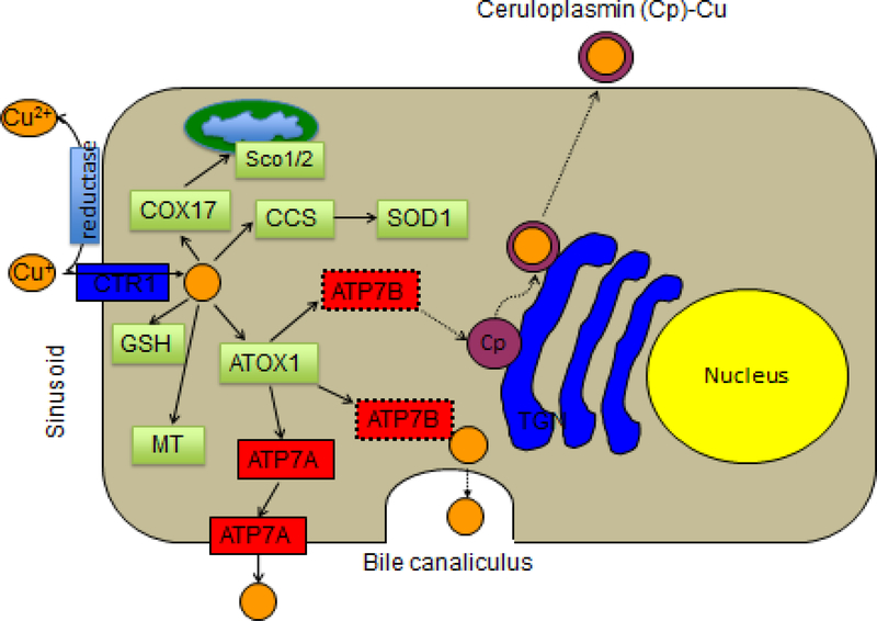 Figure 2.