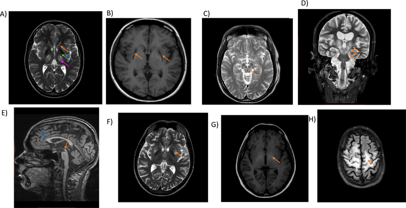 Figure 7.