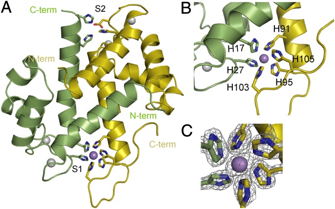 Fig. 4.