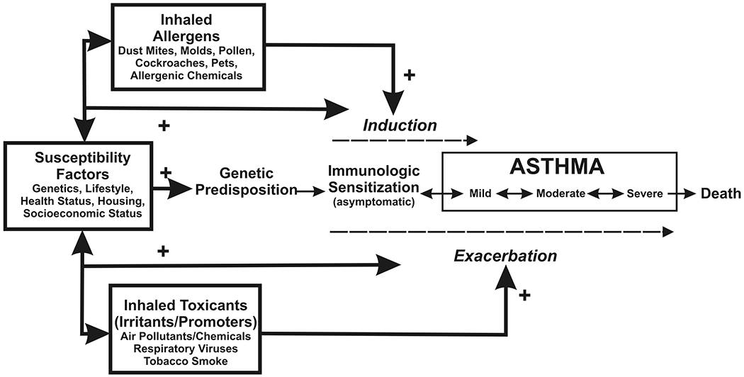 Figure 4.2: