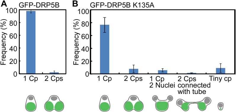 Fig. S1.