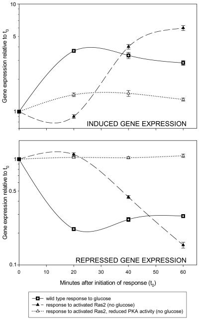 FIG. 1.