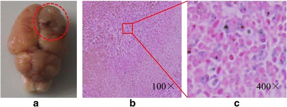 Fig. 13