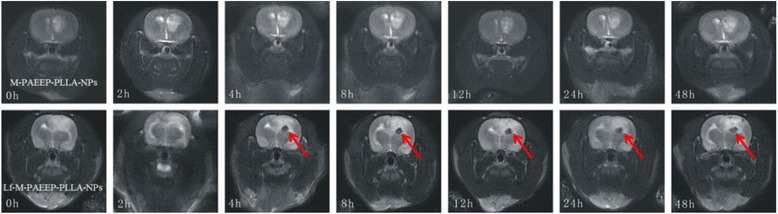 Fig. 10