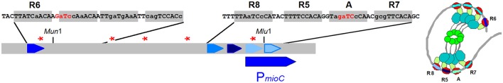 Figure 7