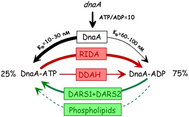 Figure 13