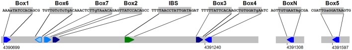 Figure 14