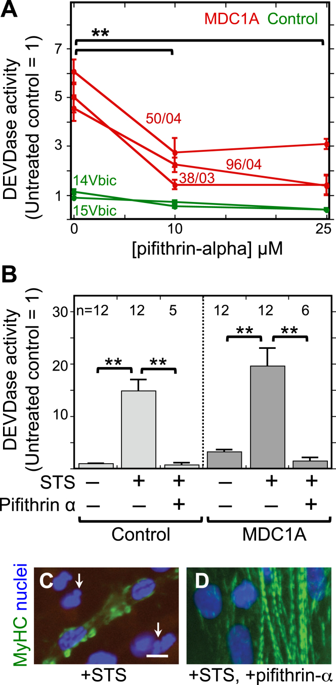 Fig.2