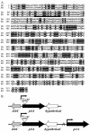 FIG. 1.