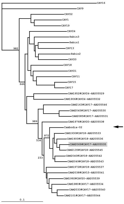 FIG. 2.