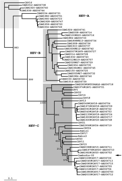 FIG. 4.