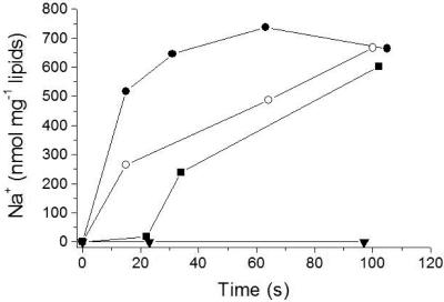 FIG. 6.