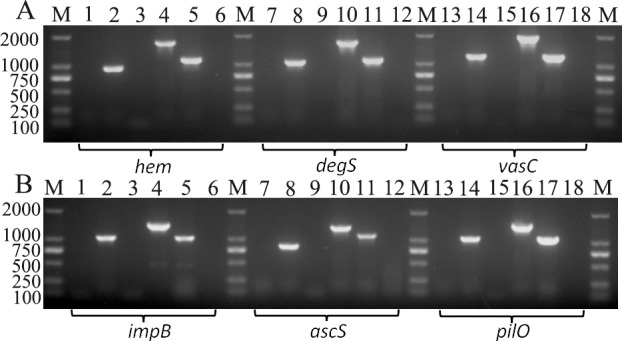 Fig 5