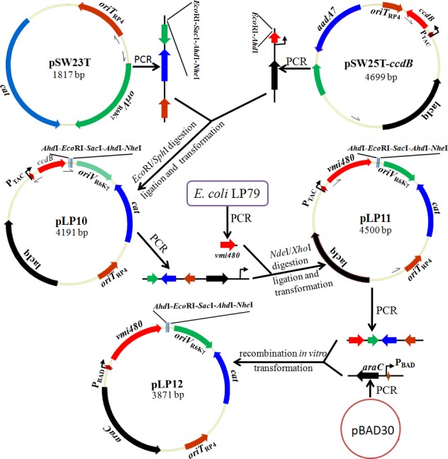 Fig 3