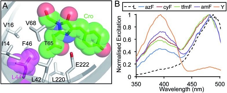 Fig. 3