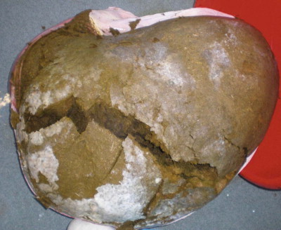 Figure 3.7