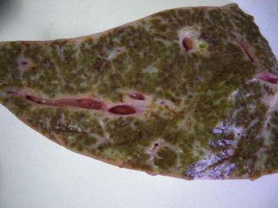 Figure 3.2