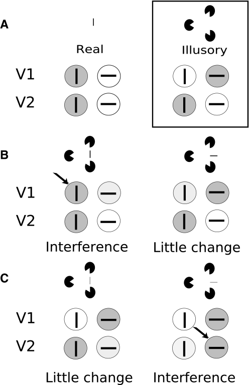 Fig. 8.