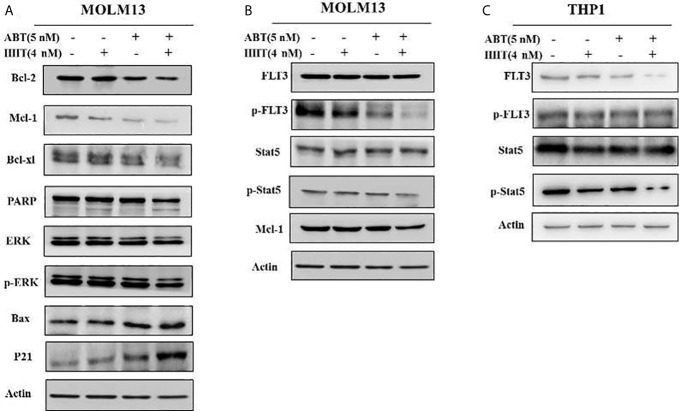 Figure 5