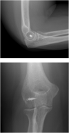 Fig. 6