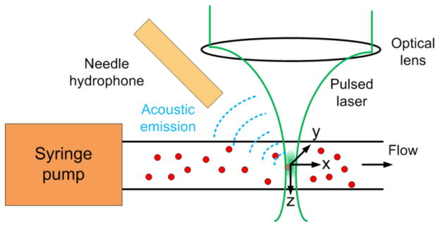 Fig. 1