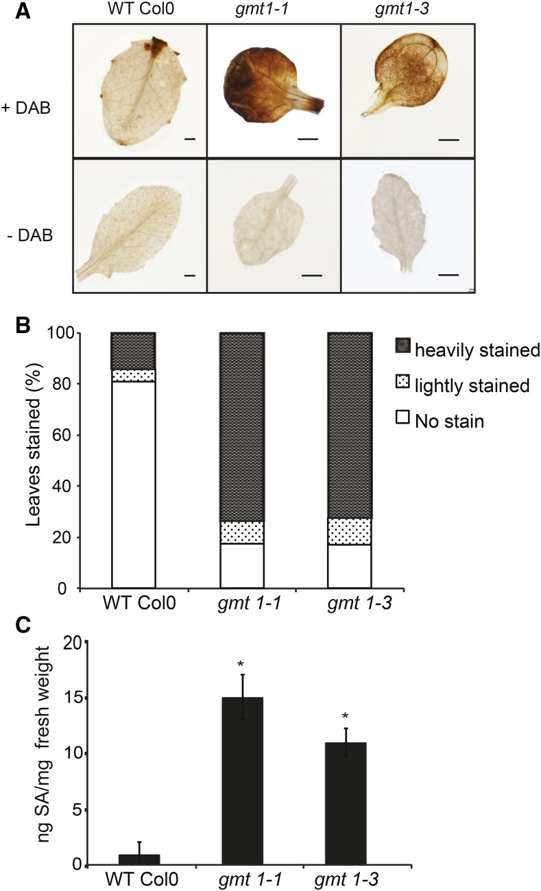 Figure 6.