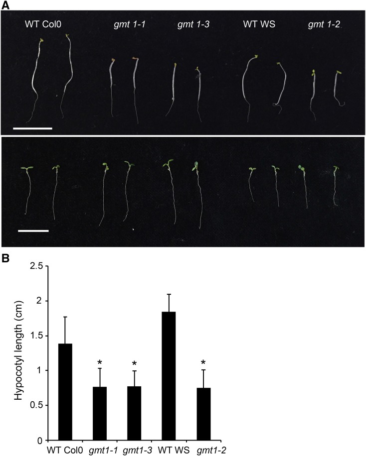 Figure 9.