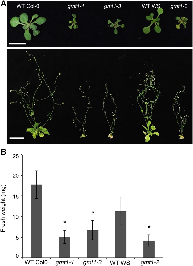 Figure 2.