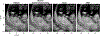 Fig. 12.