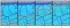 Fig. 3.