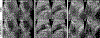 Fig. 10.