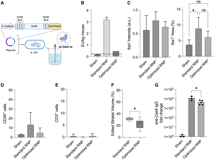 Figure 3