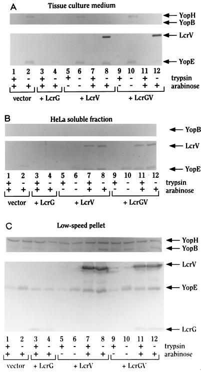 FIG. 6