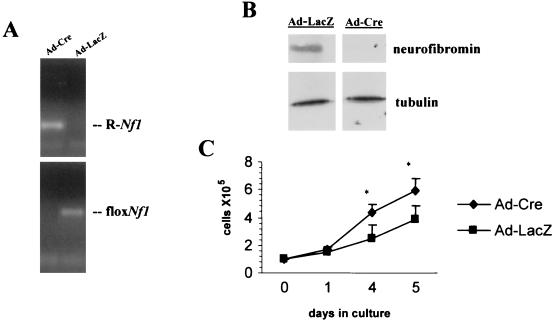 FIG. 9.