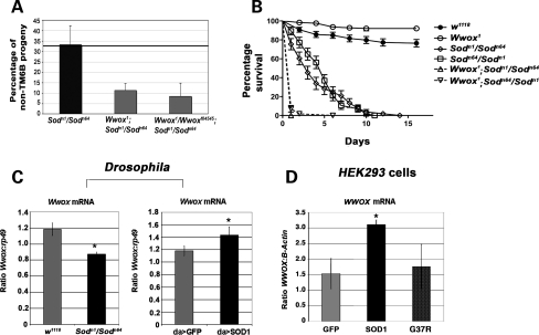 Figure 4.