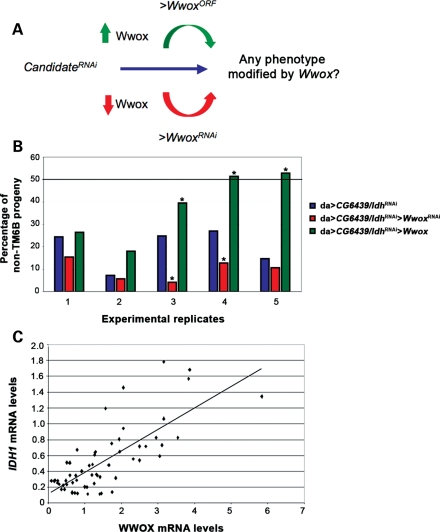 Figure 3.