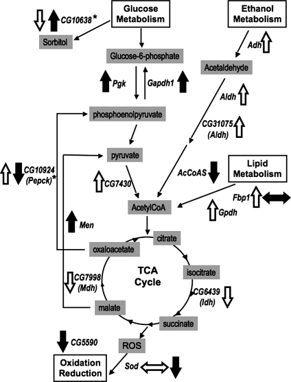 Figure 2.