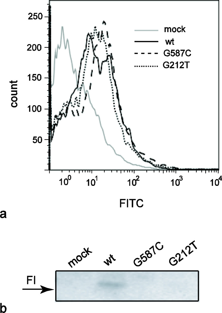 FIG. 4