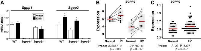 Figure 10.