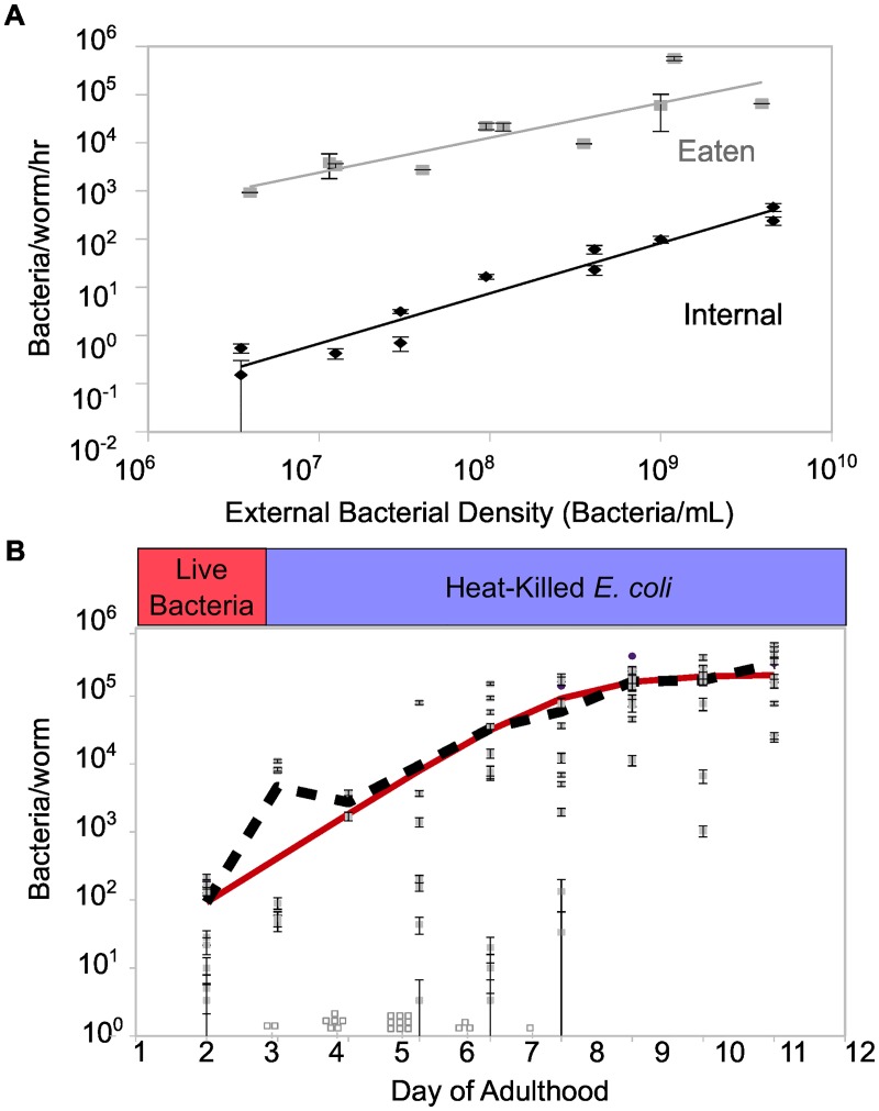 Fig 2