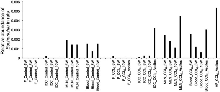 FIG 6