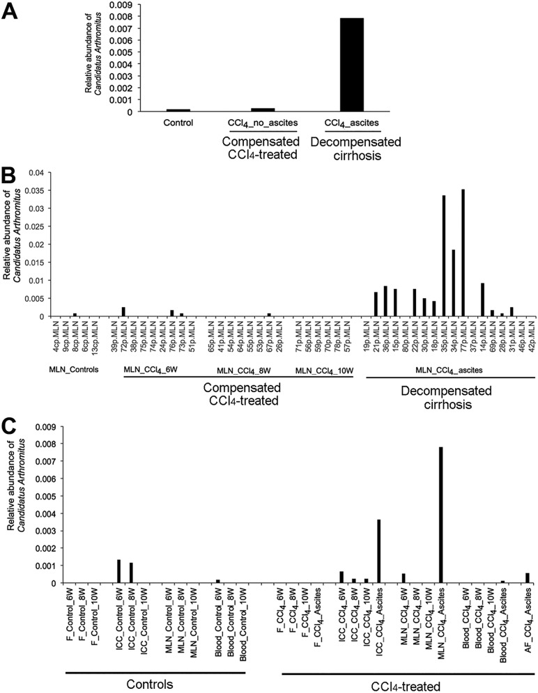 FIG 3